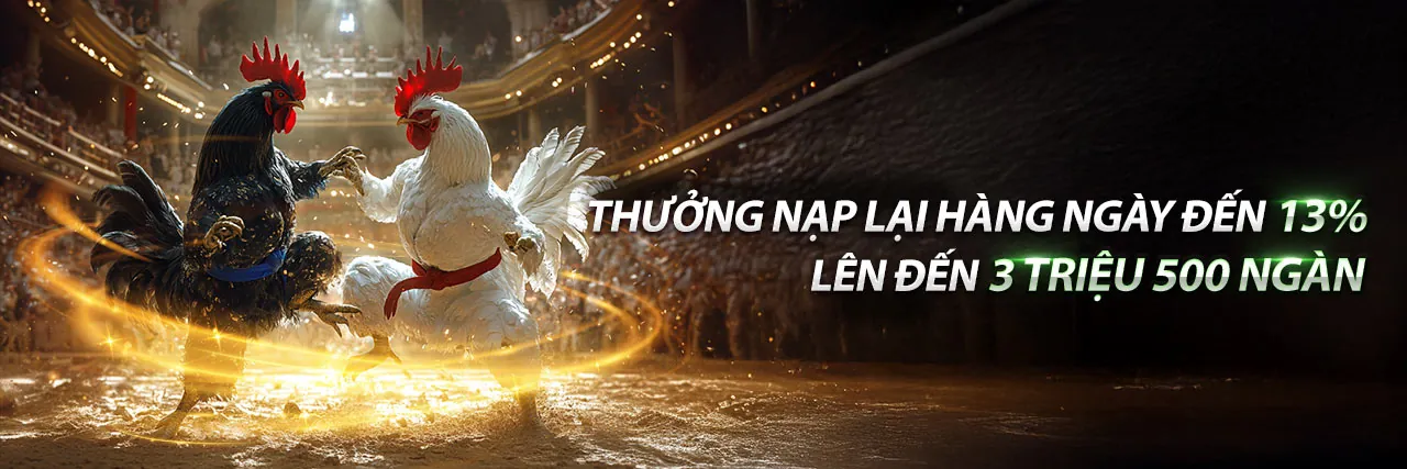 Trực Tiếp Đá Gà Hôm Nay